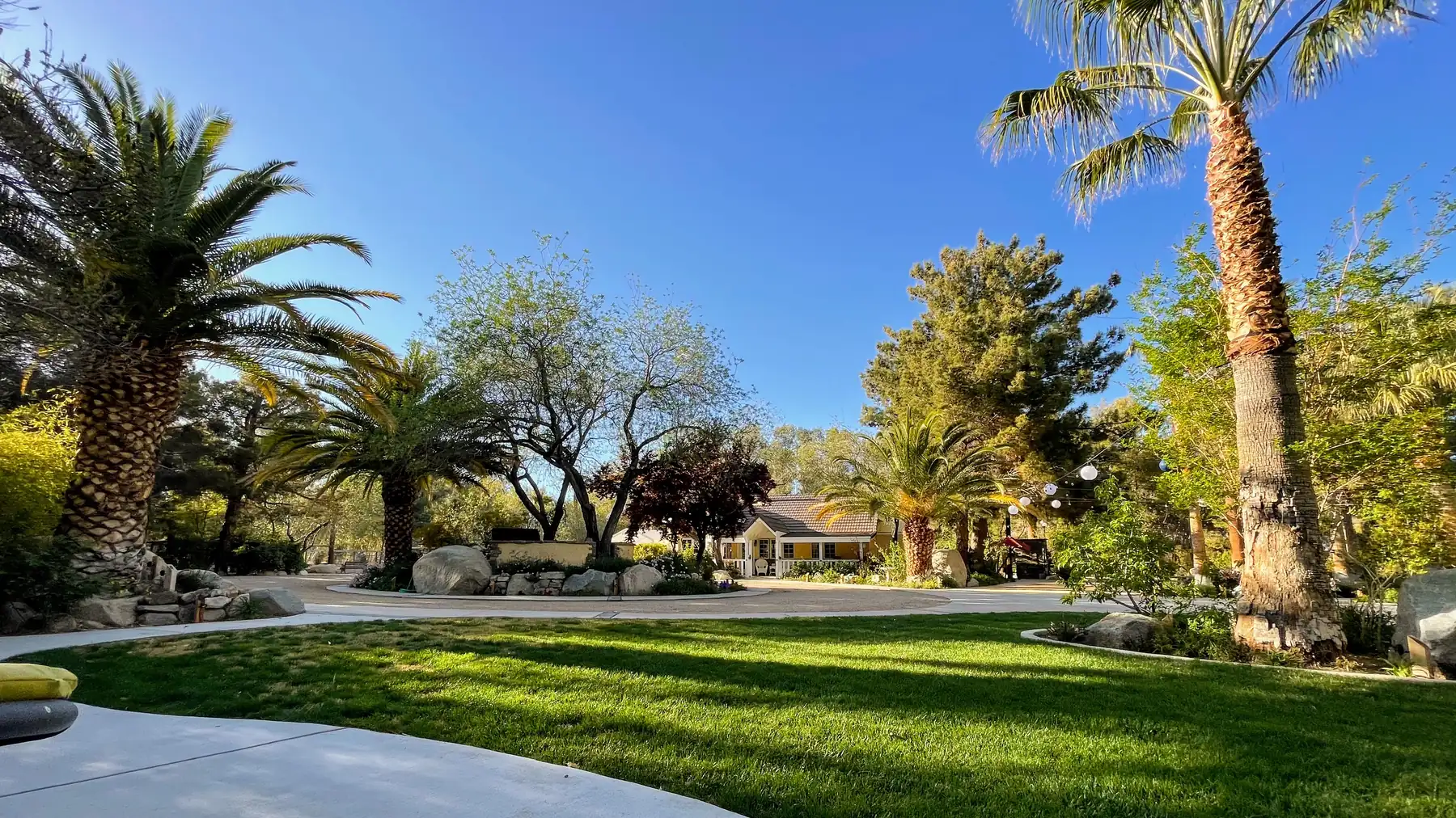 The sunlit lawn and palms of The Garden under a clear Mojave sky