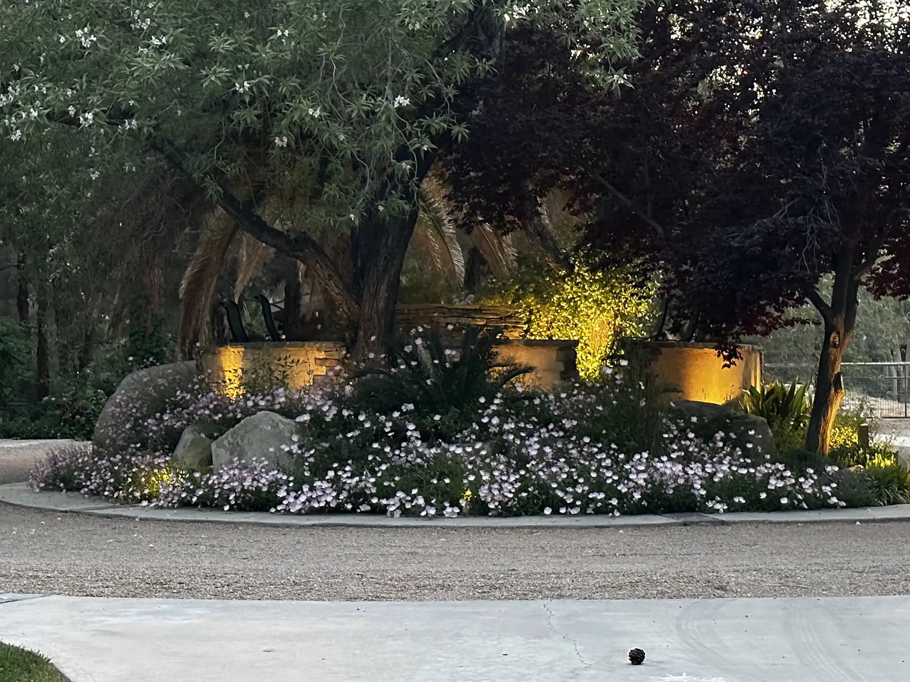 Garden beds and stone borders uplit at dusk at The Garden